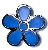 Free and Accepted Masons Forget me not pin Clean